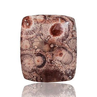 Natural Bird's Eye Jasper Cabochon 32x27mm